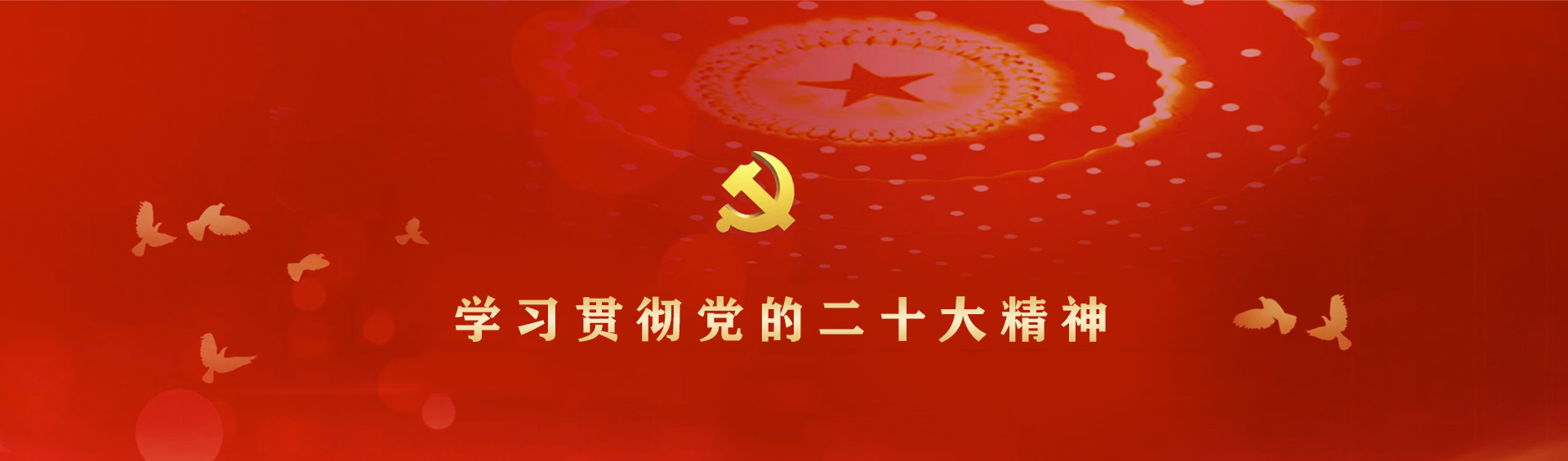 学习贯彻党的二十大精神